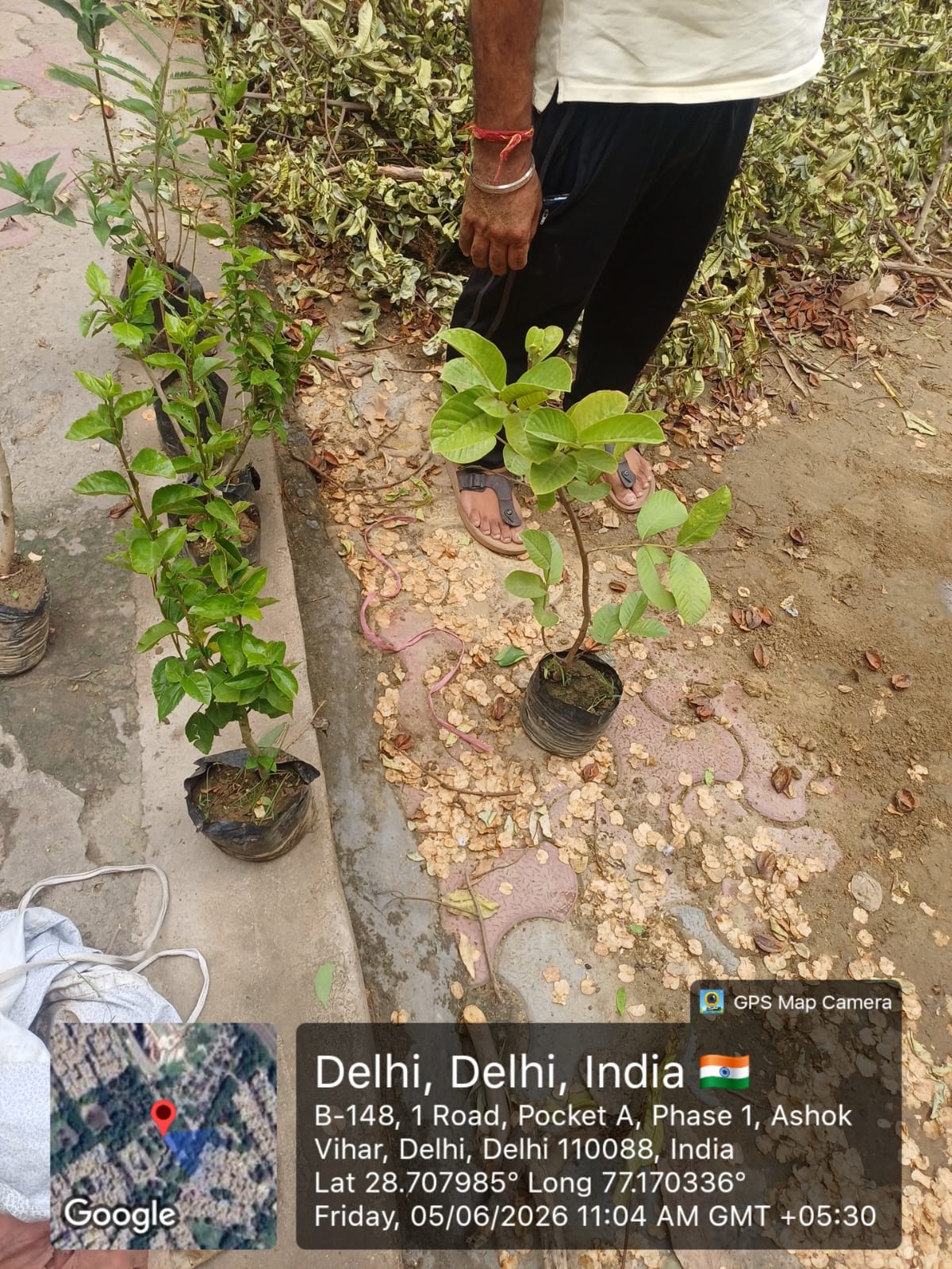 Students take part in a Shikshadwar environmental-awareness activity at school