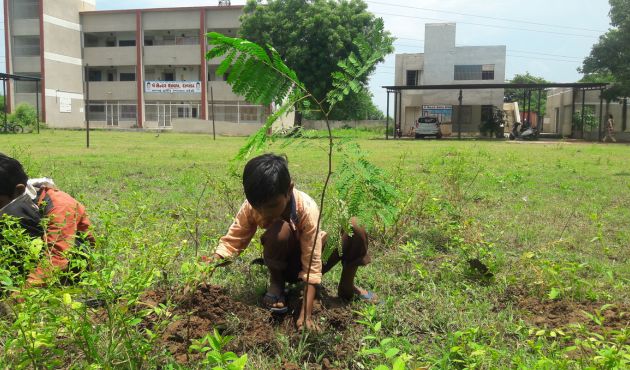 Sustainable Development